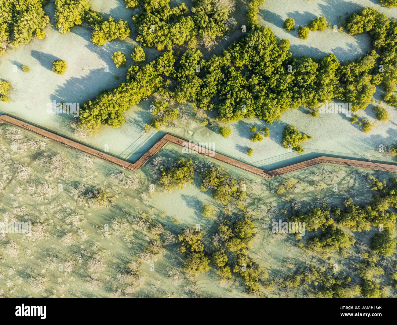 Vue aérienne de Jubail Mangrove, Abu Dhabi, Émirats arabes Unis. Banque D'Images