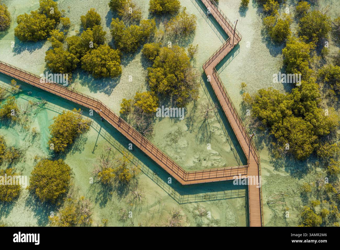 Vue aérienne du parc de randonnée Jubail Mangrove à Abu Dhabi, Émirats arabes Unis. Banque D'Images