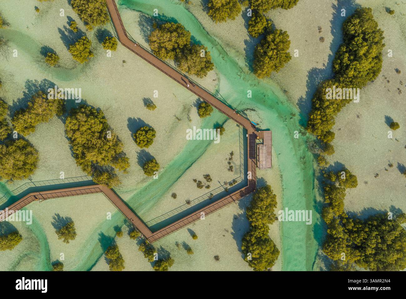 Vue aérienne du parc de randonnée Jubail Mangrove à Abu Dhabi, Émirats arabes Unis. Banque D'Images