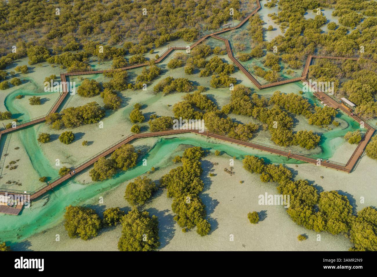 Vue aérienne du parc de randonnée Jubail Mangrove à Abu Dhabi, Émirats arabes Unis. Banque D'Images
