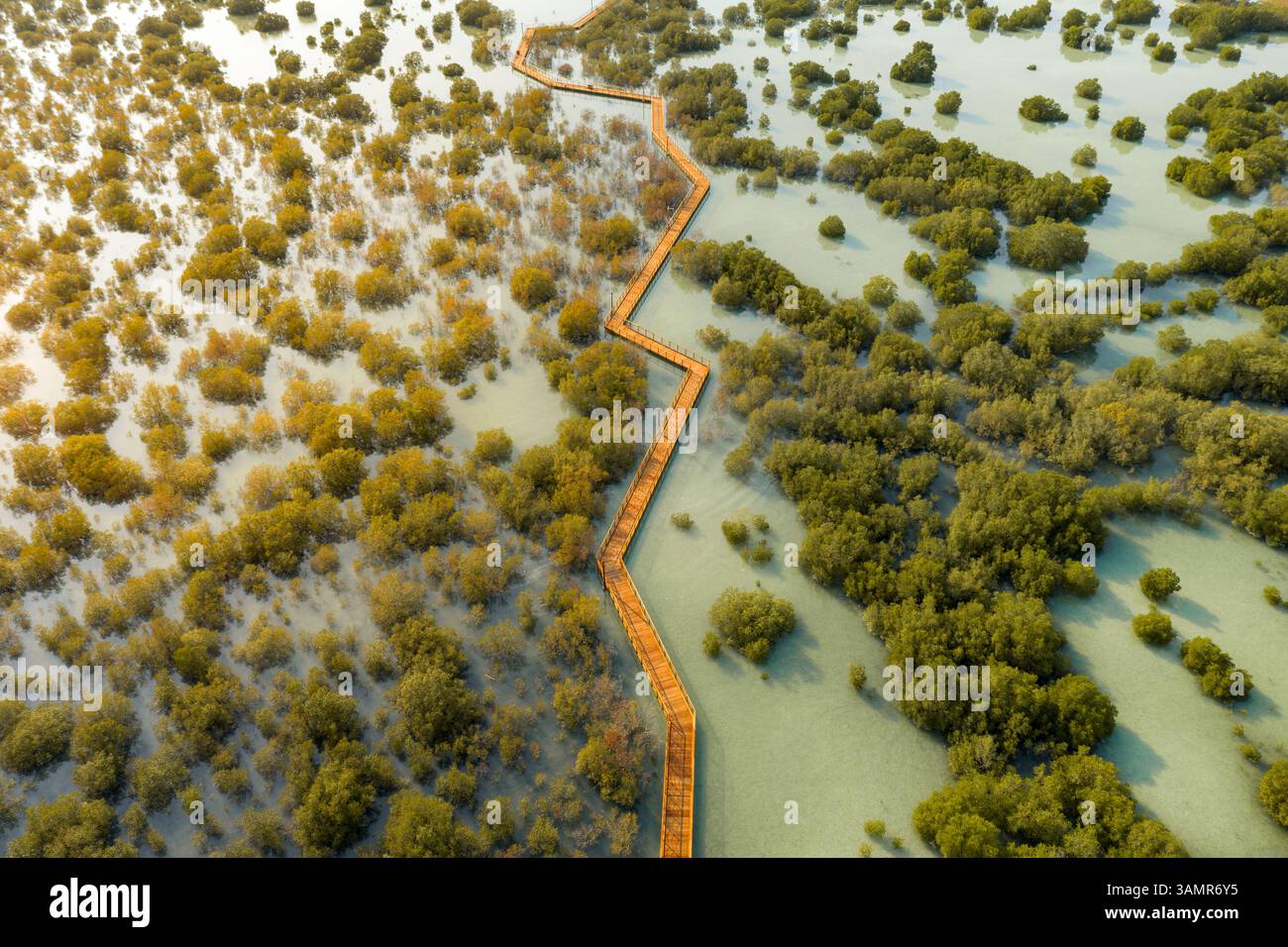 Vue aérienne au-dessus du parc Jubail Mangrove à Abu Dhabi, Émirats arabes Unis Banque D'Images