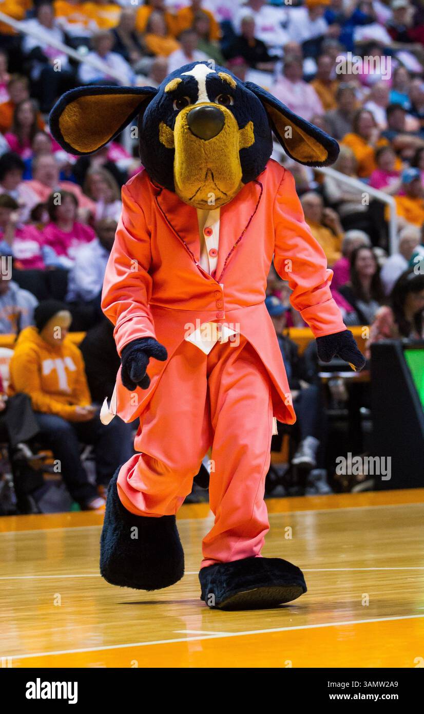 16 février 2014 - Knoxville, TN, États-Unis - 16 février 2014 : la mascotte UT Smokey pendant le match de basket-ball de la NCAA entre les Lady vols de l'Université du Tennessee et les Wildcats du Kentucky au Thompson-Boling Arena à Knoxville, TN(crédit image : © photographe :Tim Gangloff/Cal Sport Media/ZUMAPRESS.com) Banque D'Images