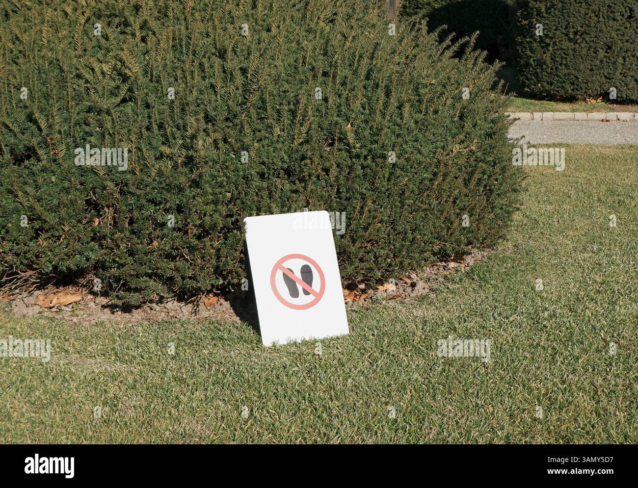pas de marche sur le panneau de pelouse dans un parc public Banque D'Images
