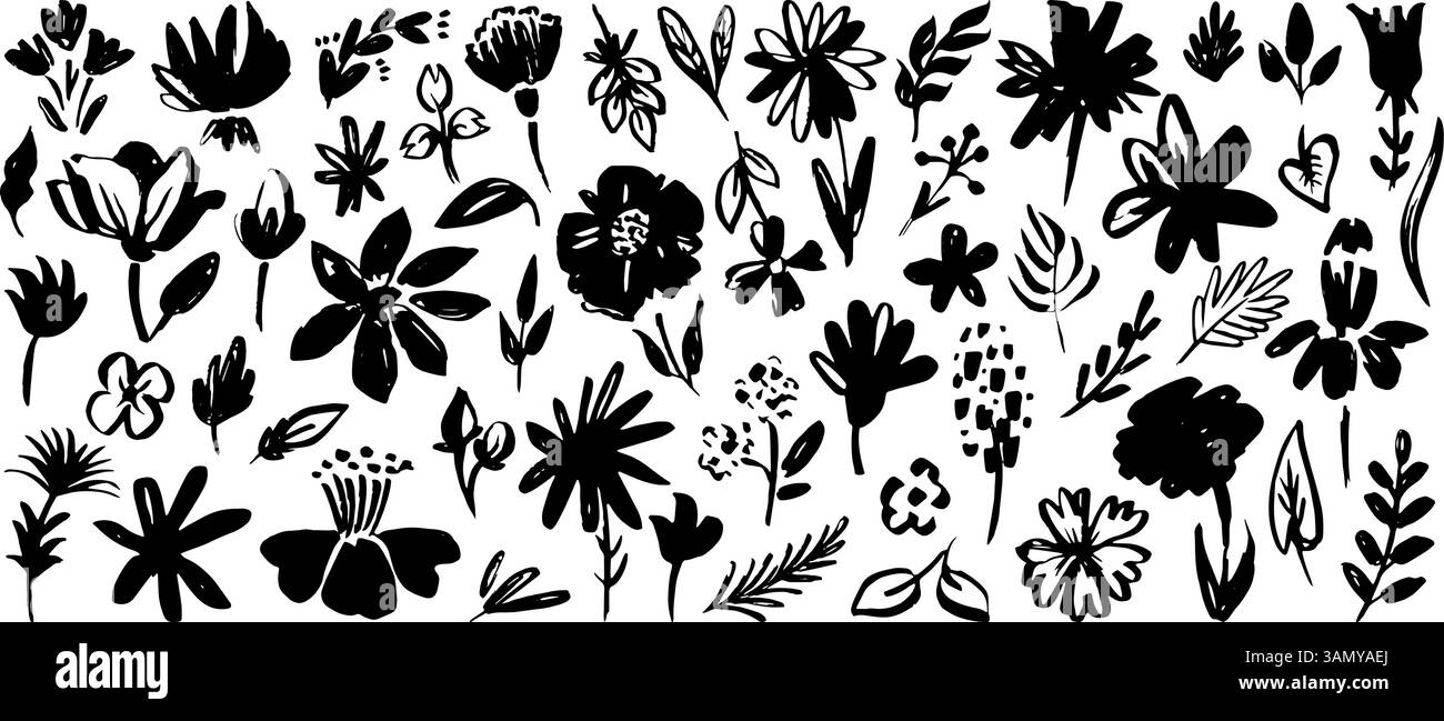 Fleur de dessin au pinceau à encre. Plantes sales, fleurs laisse des branches. Éléments floraux dessinés à la main, style de dessin abstrait désordonné. Art botanique néotérique Illustration de Vecteur