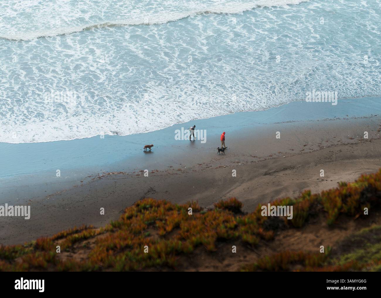 Deux amis et leurs chiens partagent un moment paisible le long du rivage, éclipsé par les vagues sans fin et le littoral spectaculaire. Banque D'Images