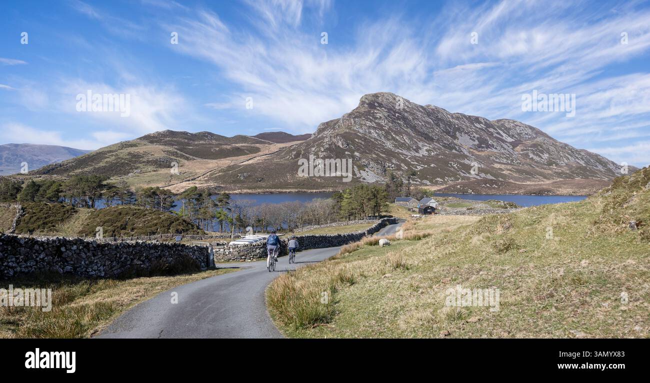 Couple de cyclistes à vélo vers le lac reculé Cregennan dans les collines galloises près de Dolgellau, Gwnydd, pays de Galles, Royaume-Uni le 9 avril 2025 Banque D'Images