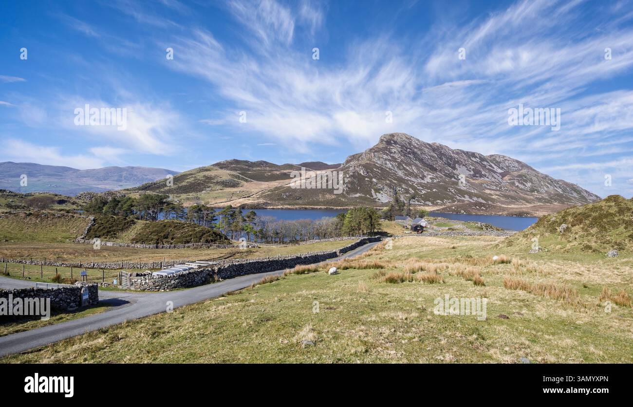 Vue de paysage du lac Cregennan dans les montagnes galloises près de Dogellau, Gwnydd, pays de Galles, Royaume-Uni le 9 avril 2025 Banque D'Images