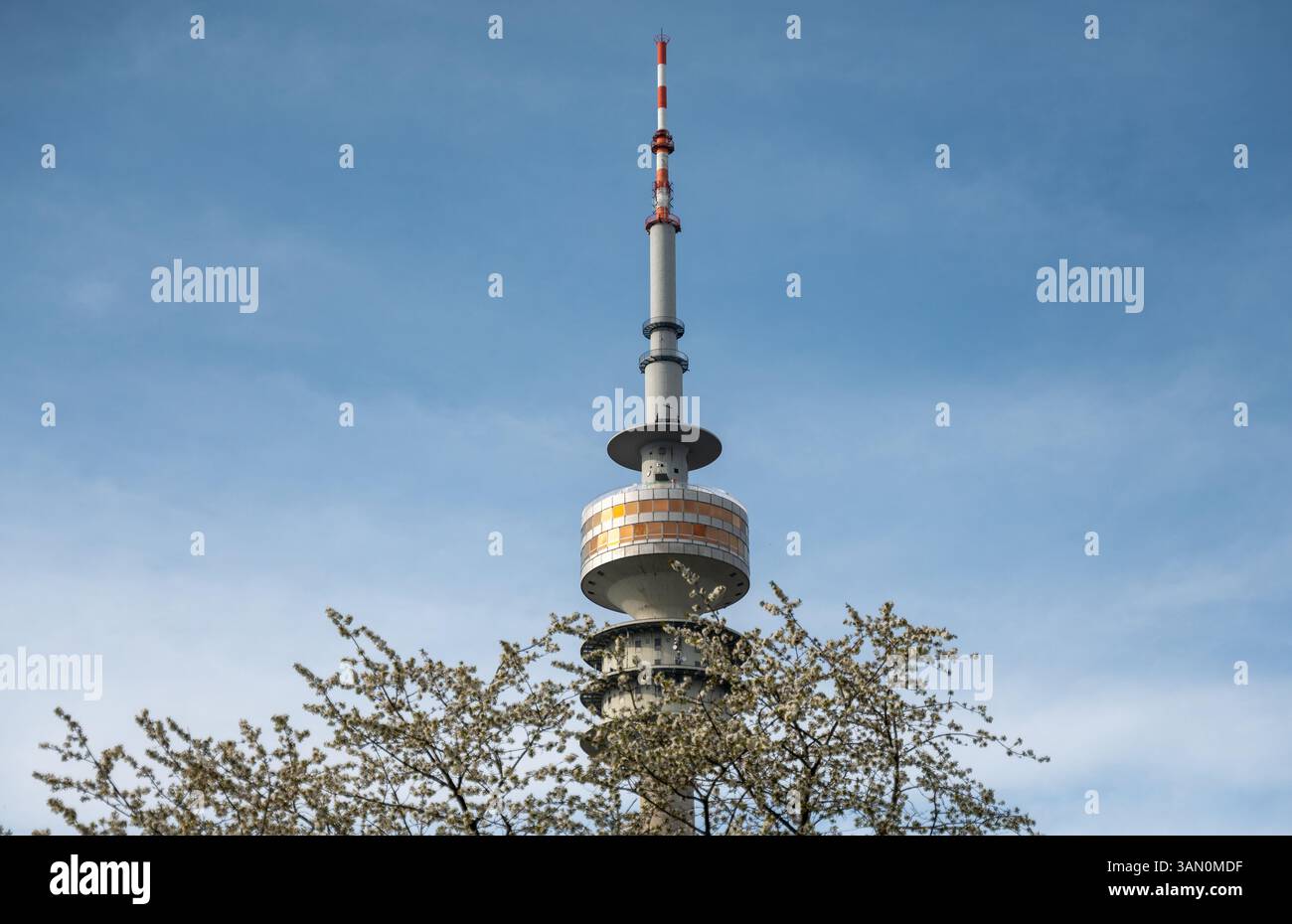 Munich, Allemagne. 14 avril 2025. La tour olympique avec des branches d'un cerisier en fleurs au premier plan. La Tour Olympique mesure 291 mètres de haut et est située dans le Parc Olympique. Crédit : Leonie Asendorpf/dpa/Alamy Live News Banque D'Images