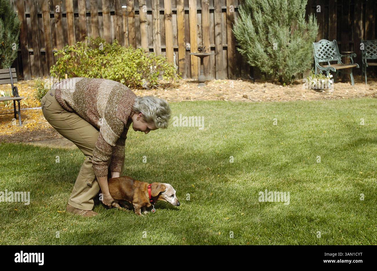 16 octobre 2007 - Sue Darby est assise Rudy, un Teckel de 17 1/2 ans, dans leur cour arrière de Colorado Springs, Colorado, le 16 octobre 2007. Rudy a environ 88 ans en années humaines. (David Bitton/Colorado Springs Gazette/MCT) (crédit image : © David Bitton/MCT/ZUMAPRESS.com) Banque D'Images