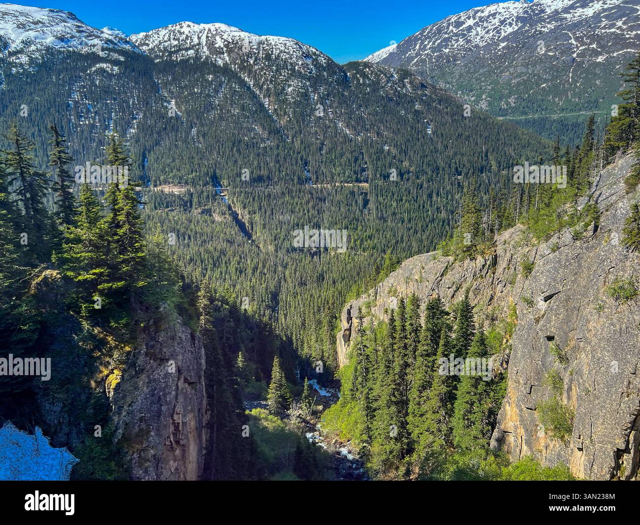 Une vue imprenable sur White Pass, Alaska, avec des falaises accidentées, des forêts denses à feuilles persistantes et des sommets enneigés. La vallée profonde met en valeur l'Unto - Image de stock capturée avec un smartphone