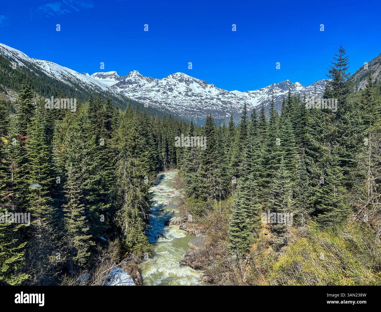 Une vue imprenable sur une rivière qui serpente à travers une forêt dense à feuilles persistantes, encadrée par des montagnes enneigées à White Pass, en Alaska. C'est époustouflant - Image de stock capturée avec un smartphone