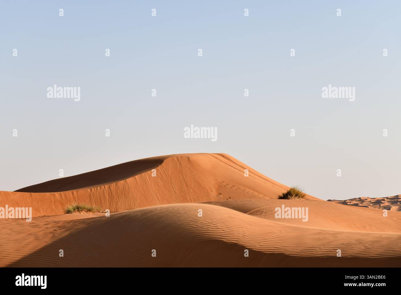 Désert de Rub Al Khali, Sultanat d'Oman. Dunes de Wahiba Sands au coucher du soleil, péninsule arabique Banque D'Images
