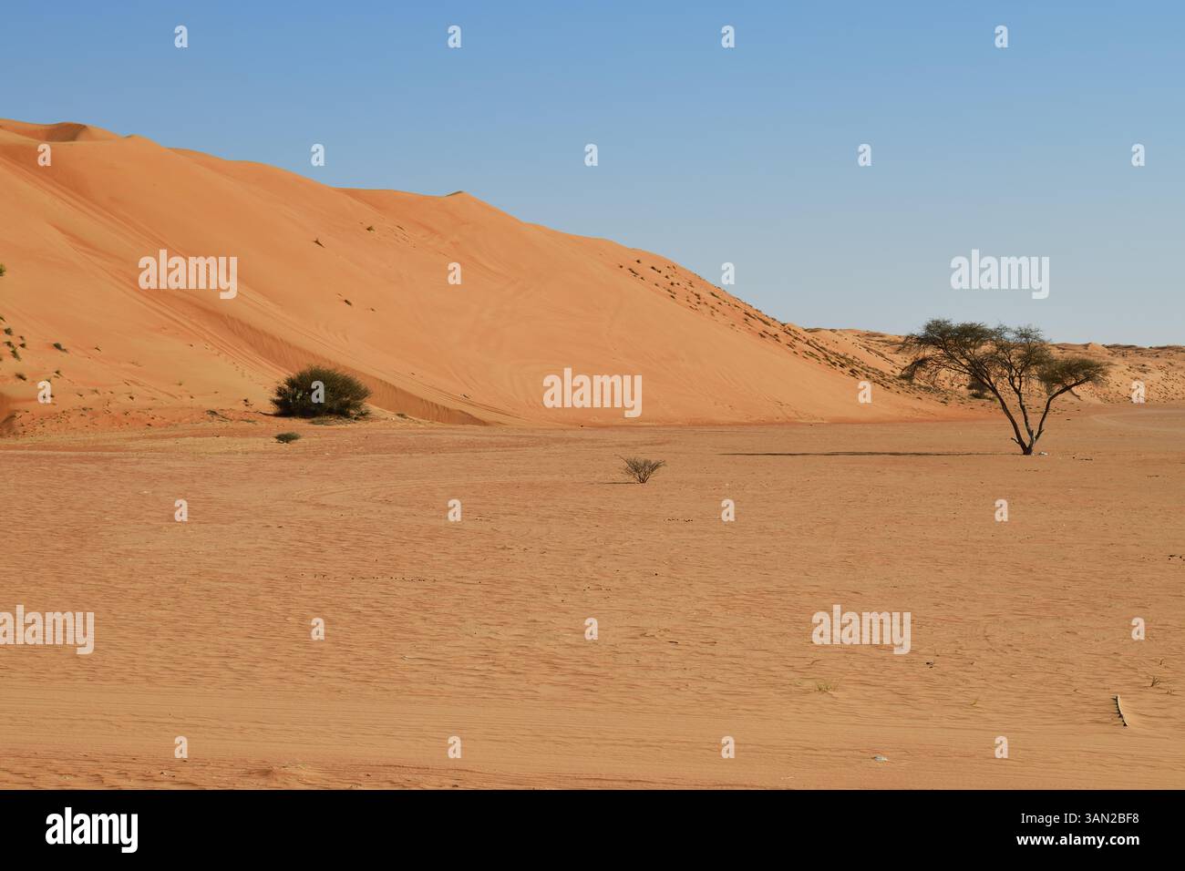 Désert de Rub Al Khali, Sultanat d'Oman. Dunes de Wahiba Sands au coucher du soleil, péninsule arabique Banque D'Images