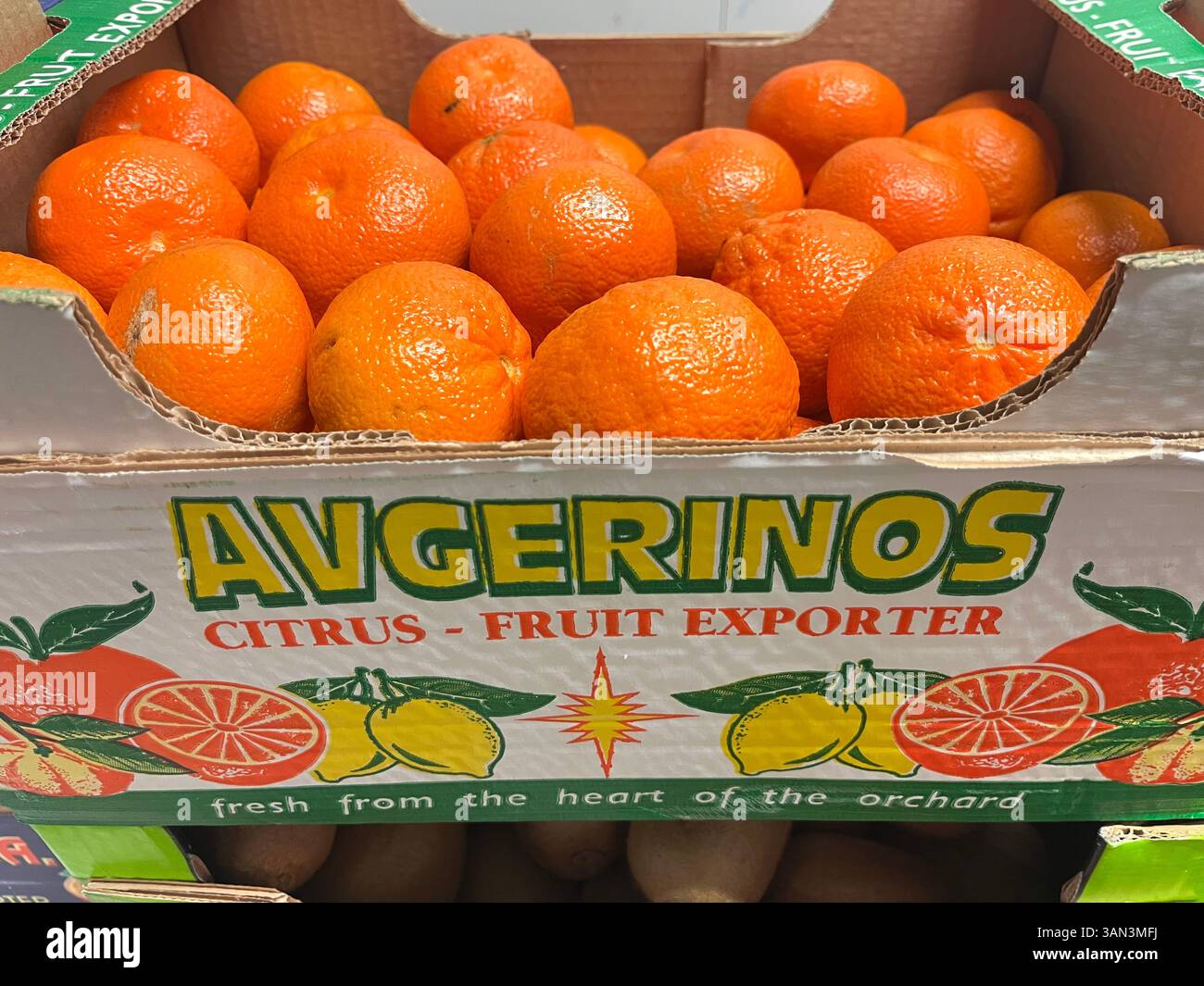 Caisse d'oranges fraîches de l'exportateur d'agrumes Avgerinos, prête pour la distribution sur les marchés mondiaux. Exportateur grec de fruits, logistique de fruits - Image de stock capturée avec un smartphone
