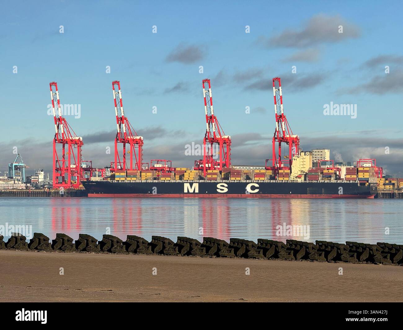 Le navire porte-conteneurs MSC Luciana charge au terminal en eau profonde de Liverpool, Merseyside, Angleterre - Image de stock capturée avec un smartphone