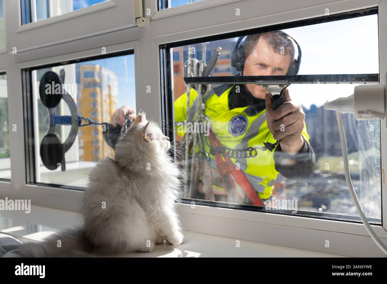 Une rencontre ludique : un chat observe curieusement un lave-vitre nettoyer le verre en plein soleil avec un paysage urbain en arrière-plan Banque D'Images Une rencontre ludique : un chat observe curieusement un lave-vitre nettoyer le verre en plein soleil avec un paysage urbain en arrière-plan Banque D'Images