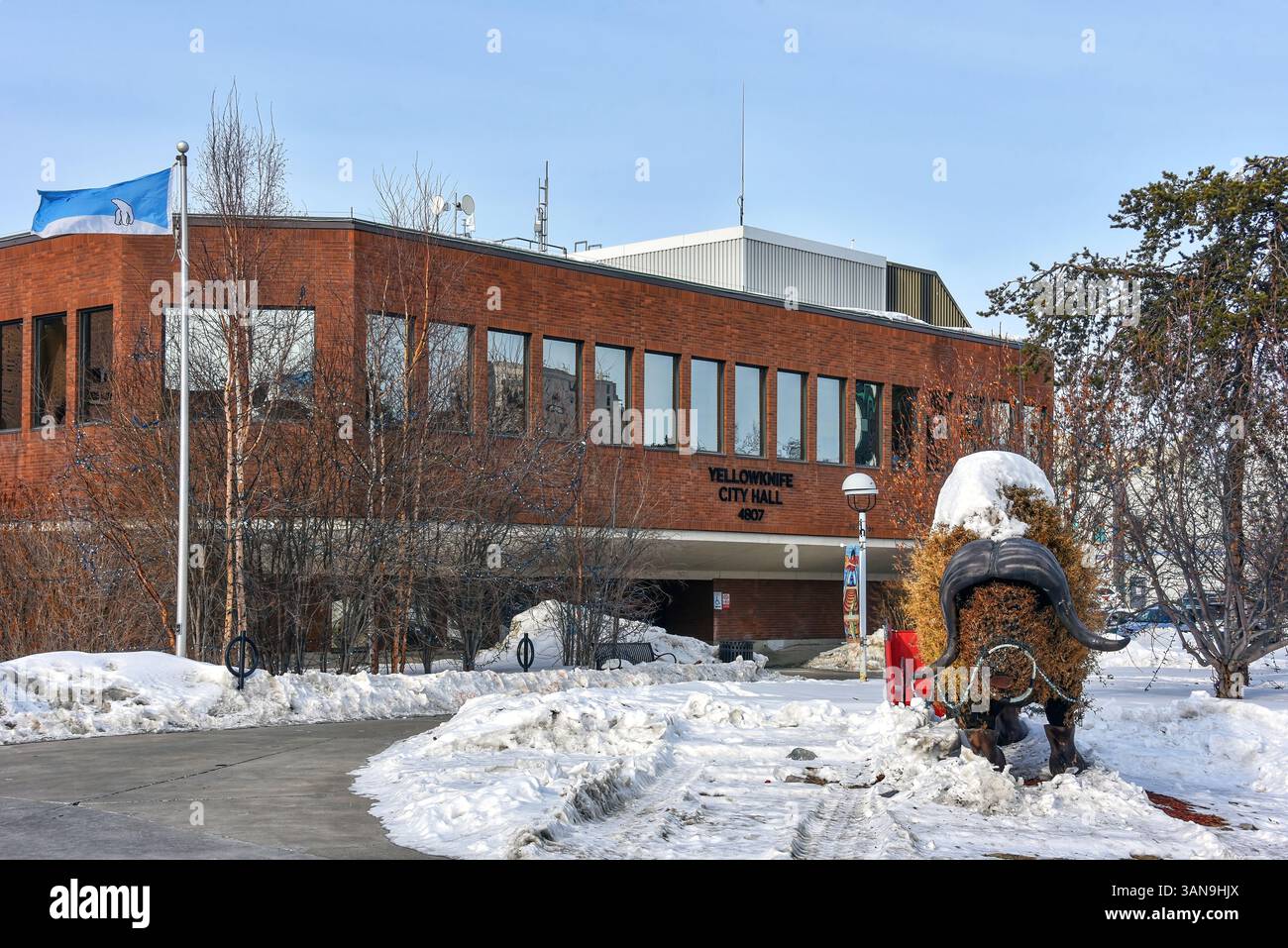 Yellowknife, Canada - 31 mars 2025 : Hôtel de ville de Yellowknife avec un boeuf musqué, offert par le Québec en 2018, sur la pelouse. La tête de l’animal et bo Banque D'Images