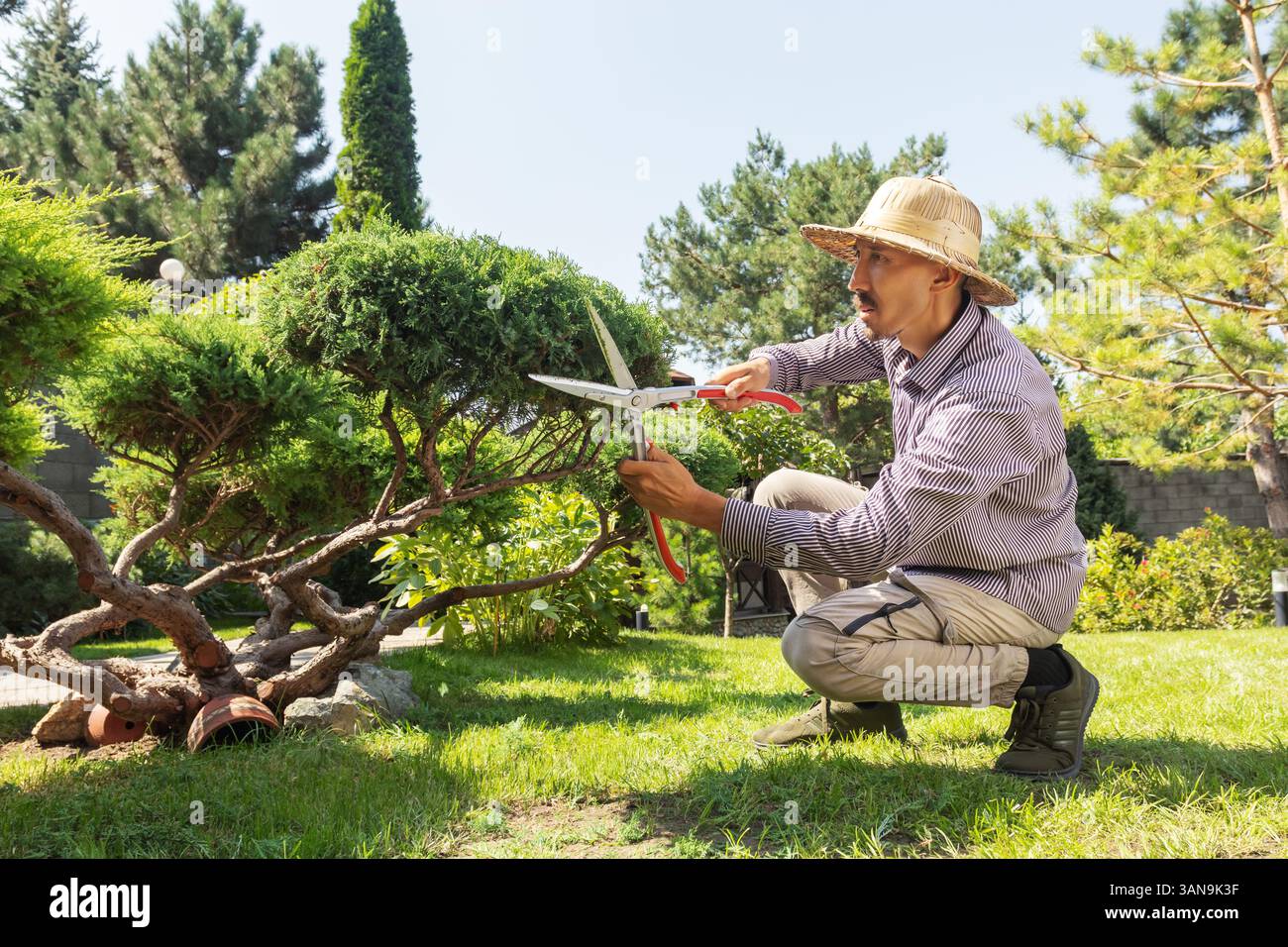 Un homme adulte moyen en chapeau large travaillant dans son arrière-cour. Jardinier masculin taillant des arbres. Banque D'Images