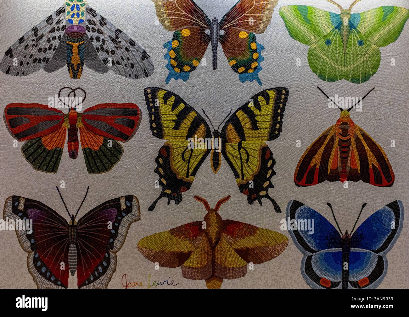 Travail de carreaux de verre mosaïque au Minneapolis/équipé Paul Airport (sélection de papillons d'État) par Josie Lewis Banque D'Images