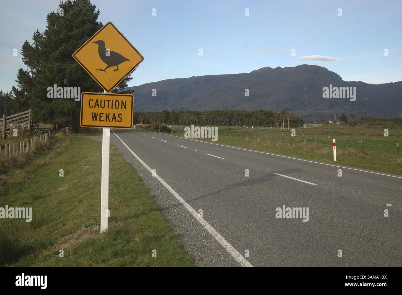 Panneau d'avertissement pour wekas près de Westport, côte ouest, Île du Sud, Nouvelle-Zélande, Océanie Banque D'Images