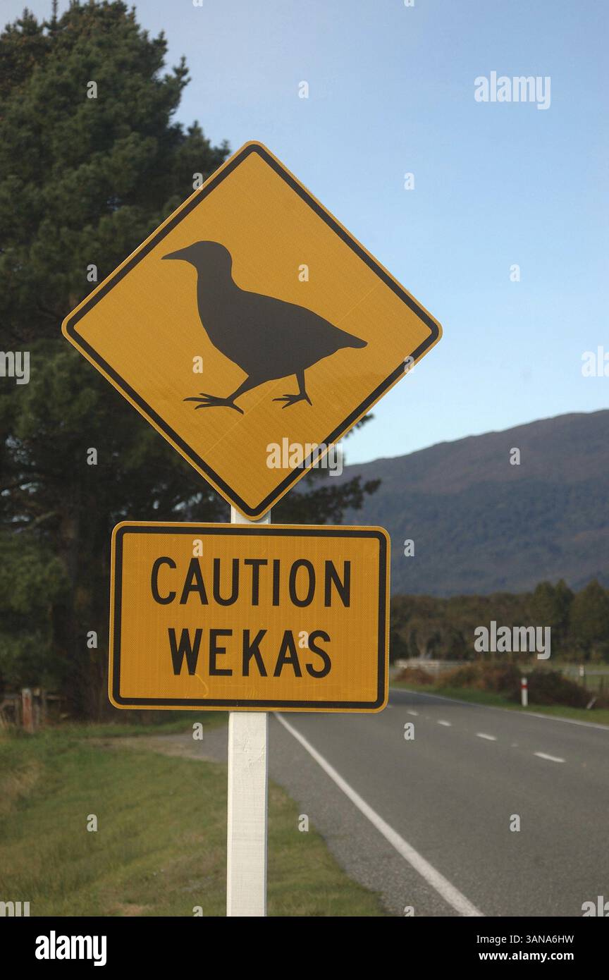 Panneau d'avertissement pour wekas près de Westport, côte ouest, Île du Sud, Nouvelle-Zélande, Océanie Banque D'Images