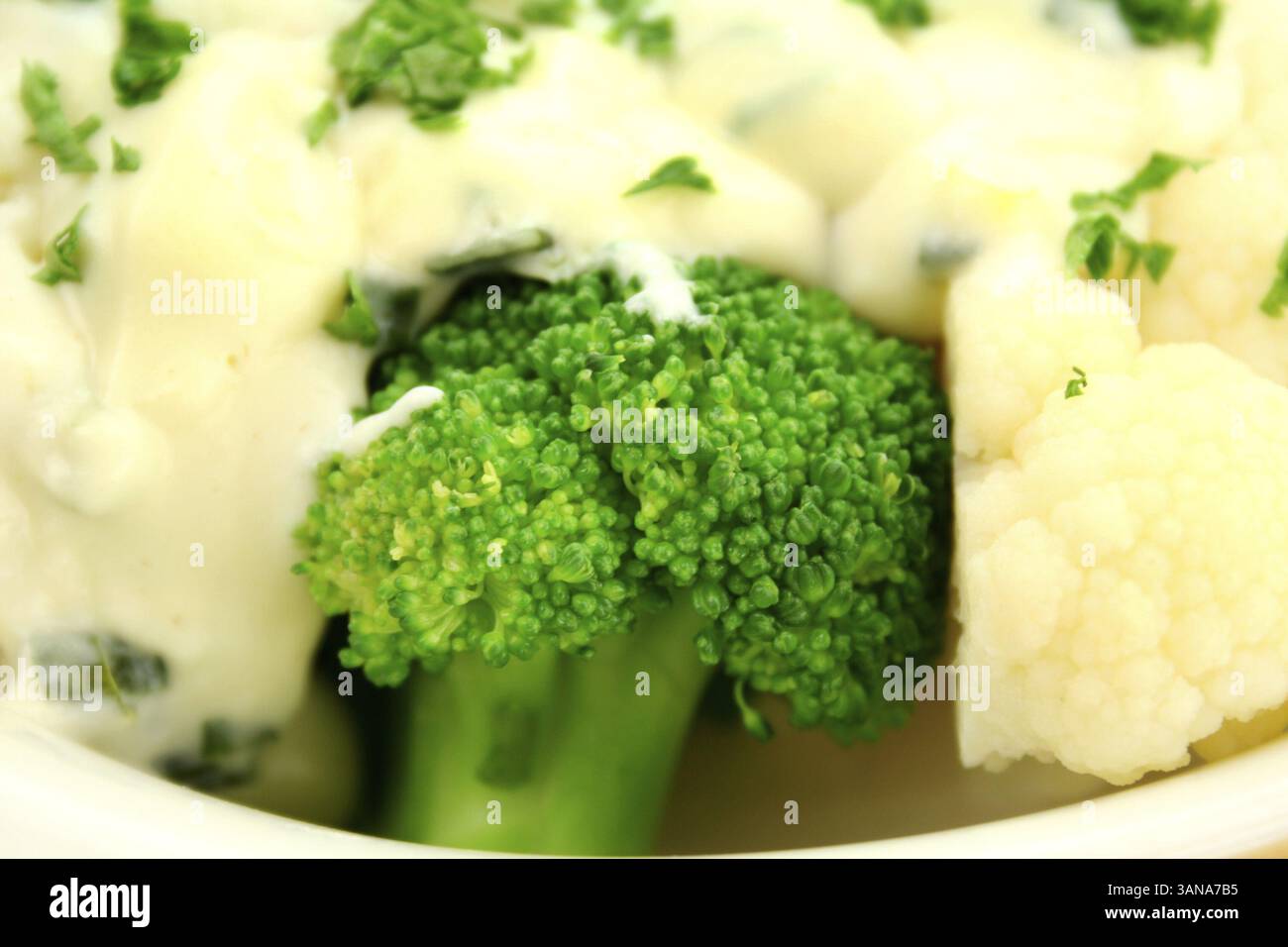 Chou-fleur et brocoli avec une sauce béchamel prête à servir Banque D'Images