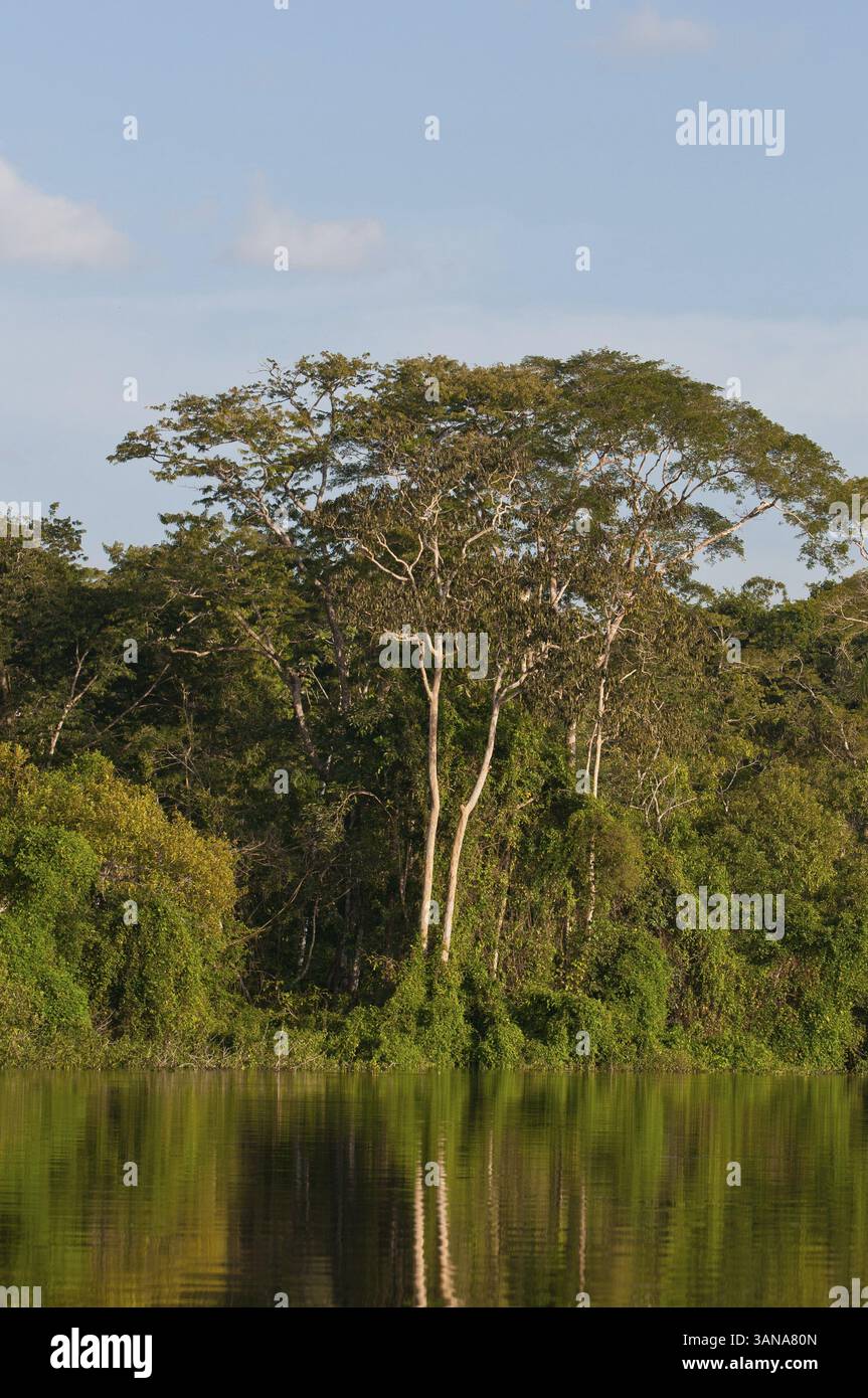 2012-03-05 23-28-29 DSC 9738.jpg, Brésil Banque D'Images