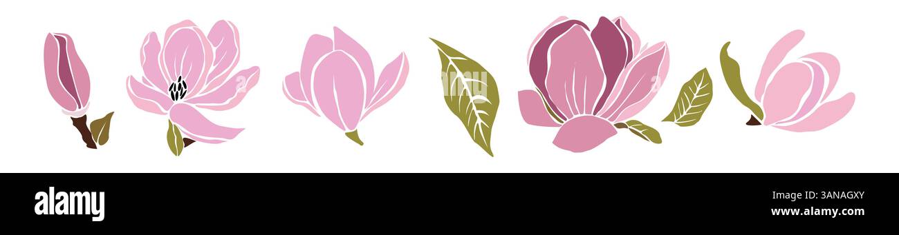 Ensemble de fleurs et de feuilles de magnolia rose dessinées à la main Illustration de Vecteur