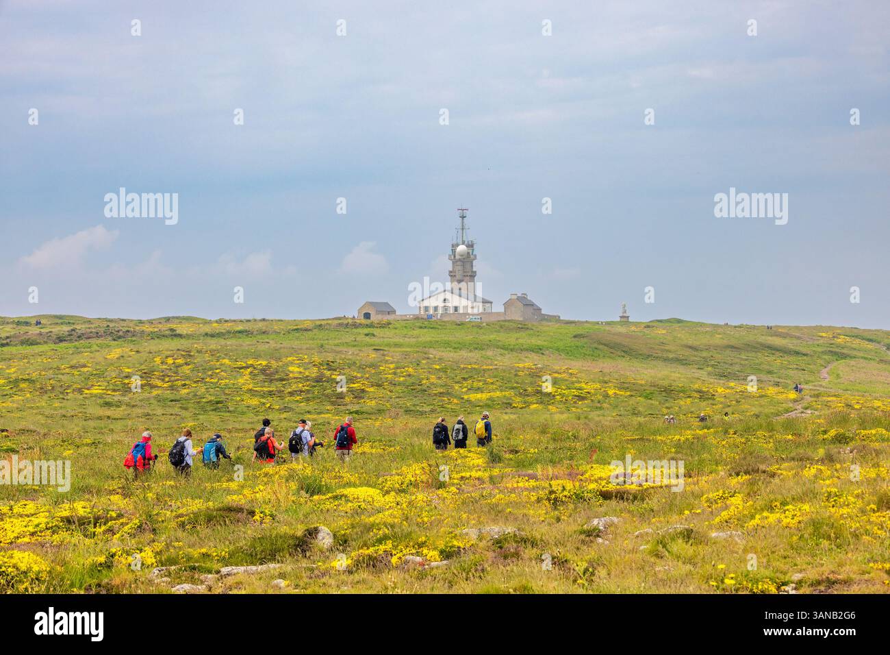 Groupe de randonneurs marchant sur une lande fleurie à la pointe du Raz en Bretagne Banque D'Images