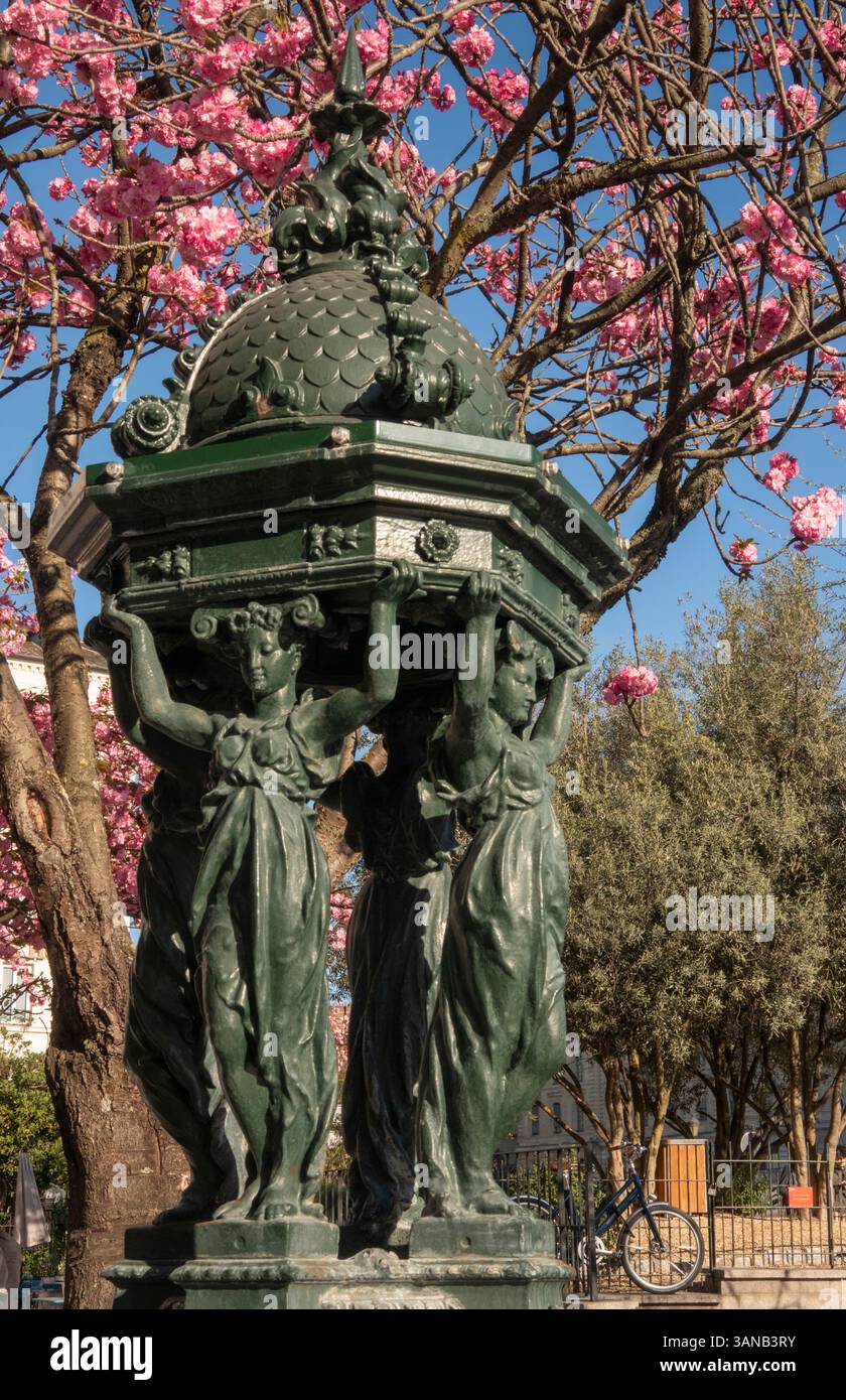 France, Paris, quartier Latin, Fontaine Wallace, eau potable parisienne historique et floraison printanière Banque D'Images
