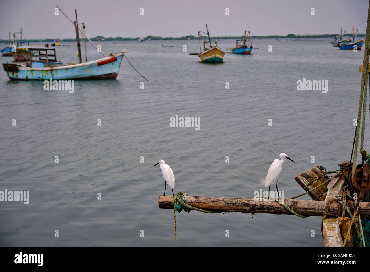 Sri Lanka, Province du Nord, Jaffna, zone de pêche catholique, bateau de pêche Banque D'Images