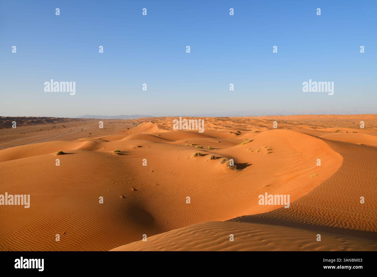 Désert de Rub Al Khali, Sultanat d'Oman. Dunes de Wahiba Sands au coucher du soleil, péninsule arabique Banque D'Images