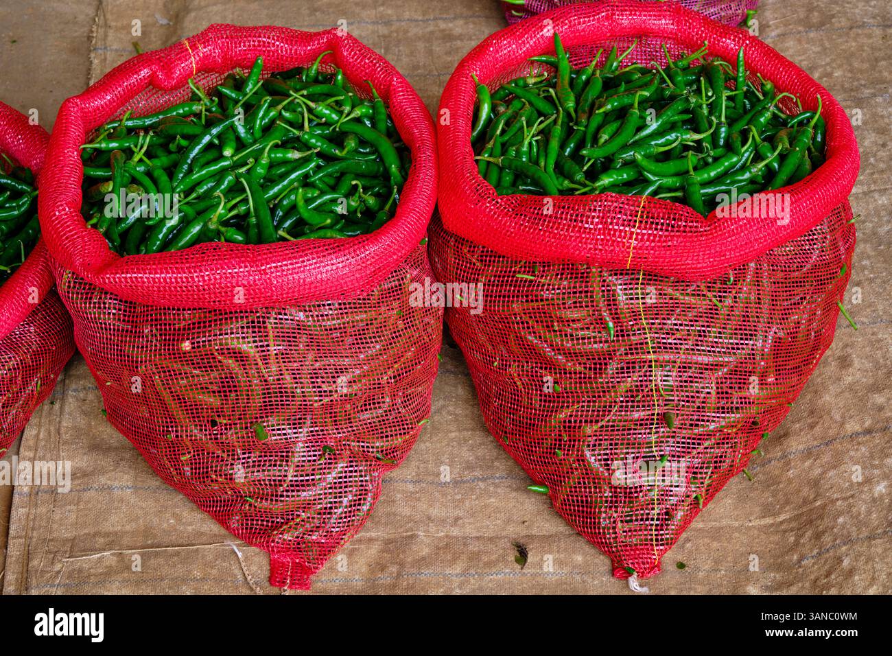 Sri Lanka, Ceylan, Province centrale, Dambulla, marché de fruits et légumes, piment vert Banque D'Images