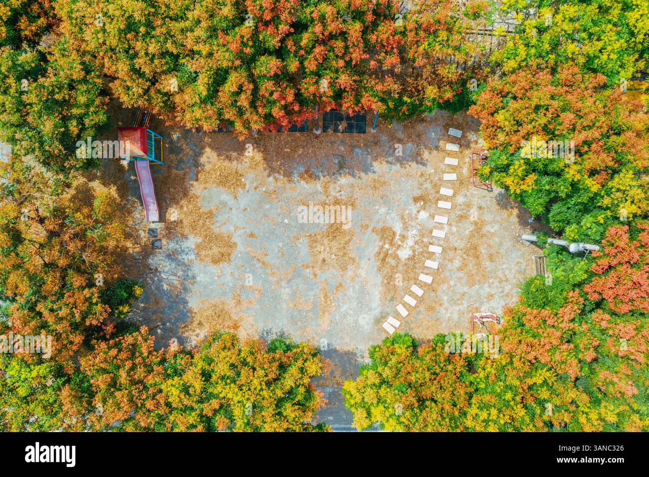 Vue aérienne du parc d'automne à Taiwan Banque D'Images