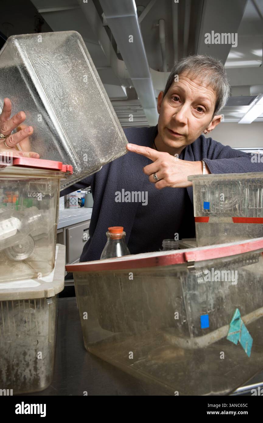 Juin 06, 2008 - Pullman, Washington, États-Unis - PATRICIA HUNT, PhD, pose dans son laboratoire à l'Université d'État de Washington avec les cages de souris en plastique et une bouteille d'eau contenant du BPA qui a mené en 1999 à une découverte serendipitante concernant les risques majeurs pour la santé associés aux plastiques contenant du BDA. L'exposition involontaire de souris à l'imitation des œstrogènes, le bisphénol A (BPA), provenant de matériaux de mise en cage endommagés (cages en polycarbonate et bouteilles d'eau) a conduit à la prise de conscience que des doses de BPA pertinentes pour l'environnement provoquent une perturbation méiotique et une aneuploïdie chez la souris. Les études actuelles se concentrent sur la détermination du Banque D'Images