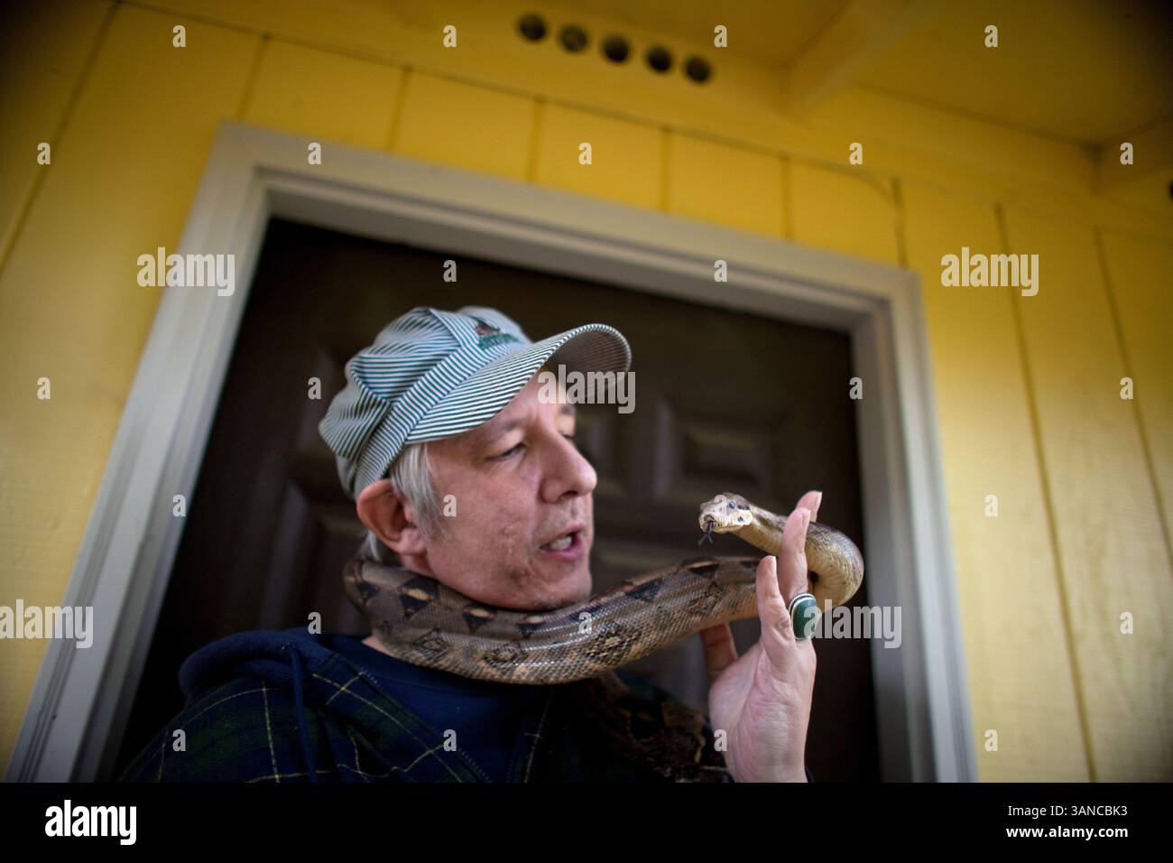 13 novembre 2009 - Shelton, Washington, États-Unis - DANIEL GREENE parle à son boa constricteur à queue rouge, Redrock, devant sa maison. Greene utilise le serpent comme un animal d'assistance : il prétend qu'il l'avertit en serrant doucement son cou quand il est sur le point d'avoir une crise. Greene est épileptique. (Crédit image : © Mike Kane/ZUMA Press) Banque D'Images