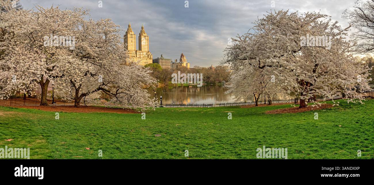 Le printemps à Central Park, New York City Banque D'Images