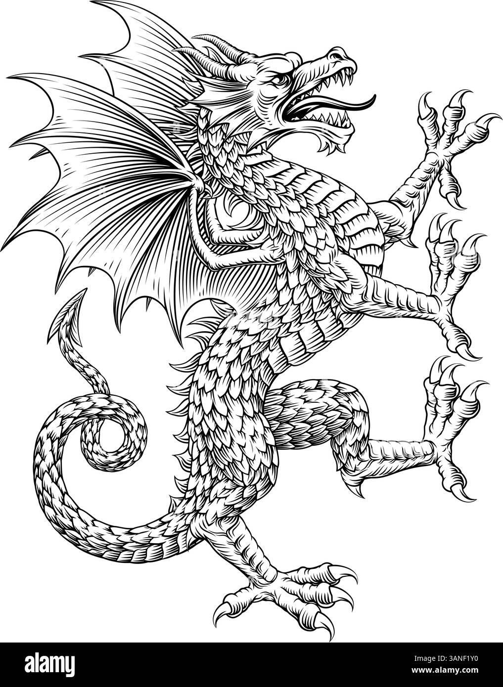 Armoiries de dragon écusson héraldique Illustration de Vecteur