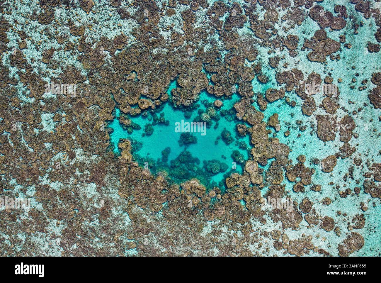 Vue aérienne de Teiororu abstrait avec le récif de Moorea et le col de Patauvau, îles du vent, Polynésie française. Banque D'Images