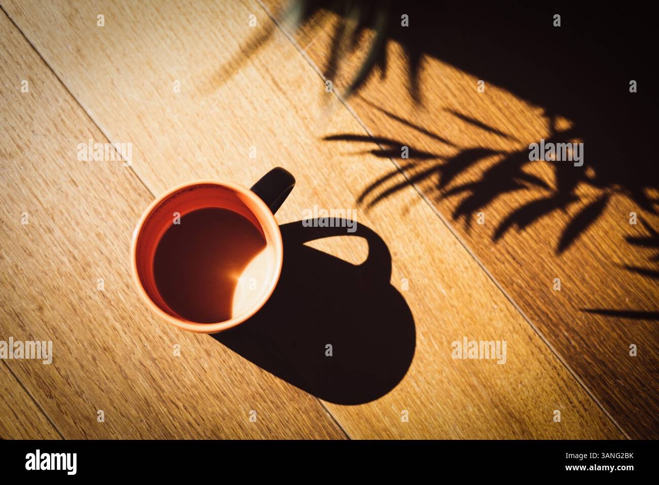 Composition minimaliste de la tasse à café sur fond en bois avec l'ombre des plantes Banque D'Images