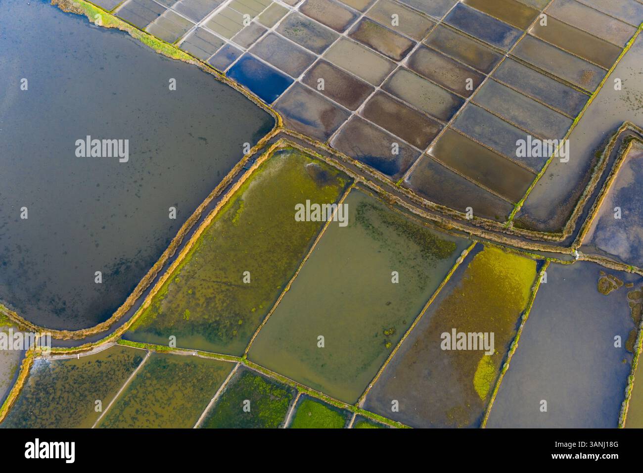 Vue aérienne des motifs et des couleurs des étangs d'évaporation de sel pendant le lever du soleil à Aveiro, Portugal Banque D'Images