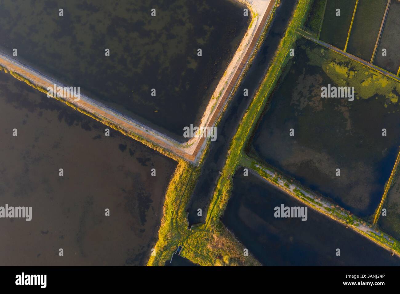 Vue aérienne des motifs et des couleurs des étangs d'évaporation de sel pendant le lever du soleil à Aveiro, Portugal Banque D'Images