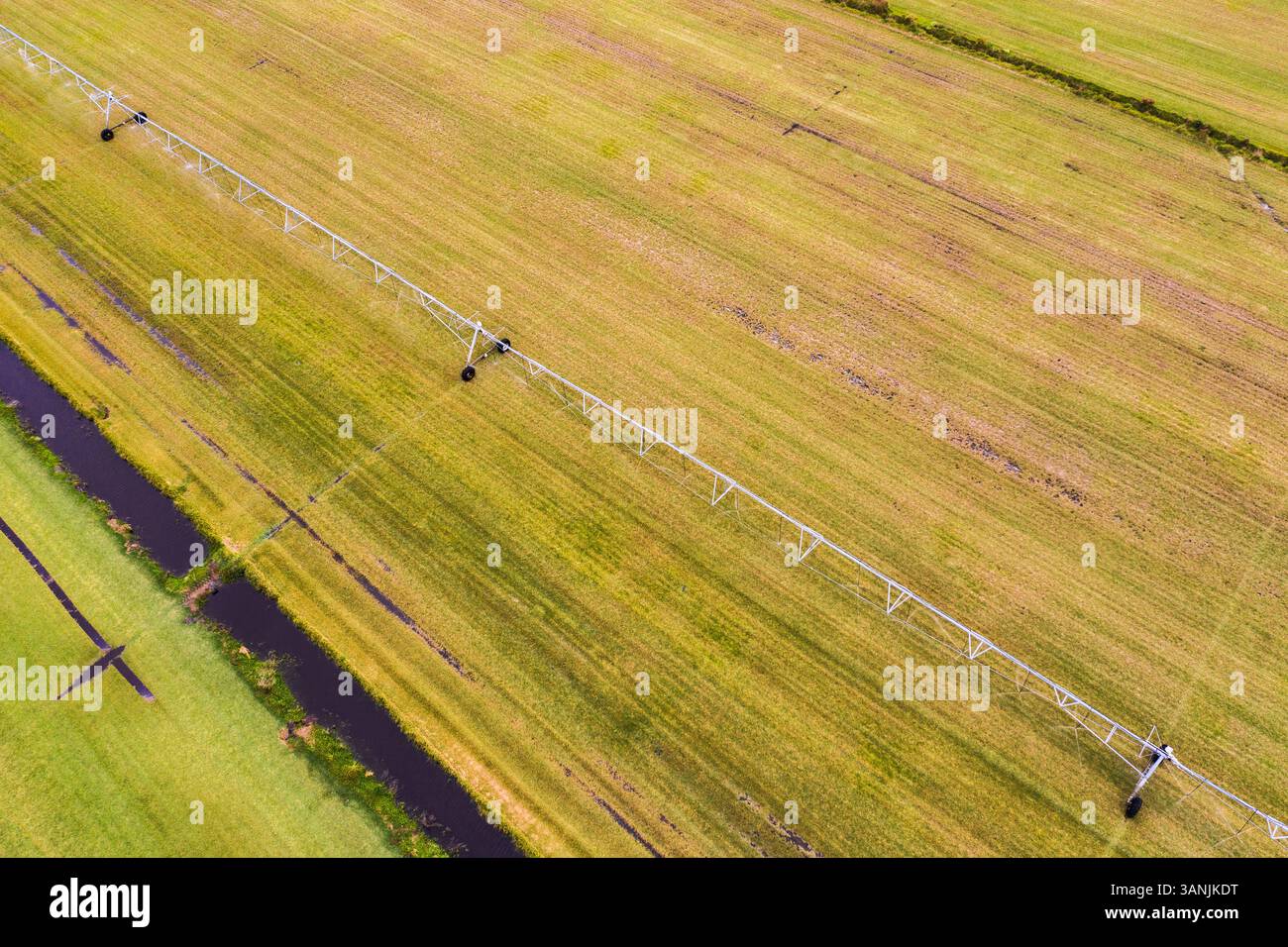 Vue aérienne d'un gicleur dans un champ agricole, Vero Beach, Floride, États-Unis. Banque D'Images