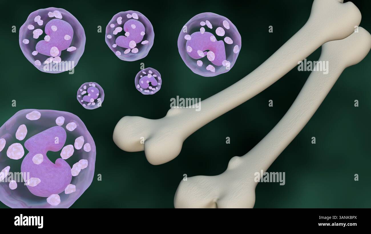 Rendu 3d de globules blancs dispersés ou de leucocytes à proximité immédiate d'un os long, probablement un fémur en raison de sa forme. Banque D'Images Rendu 3d de globules blancs dispersés ou de leucocytes à proximité immédiate d'un os long, probablement un fémur en raison de sa forme. Banque D'Images