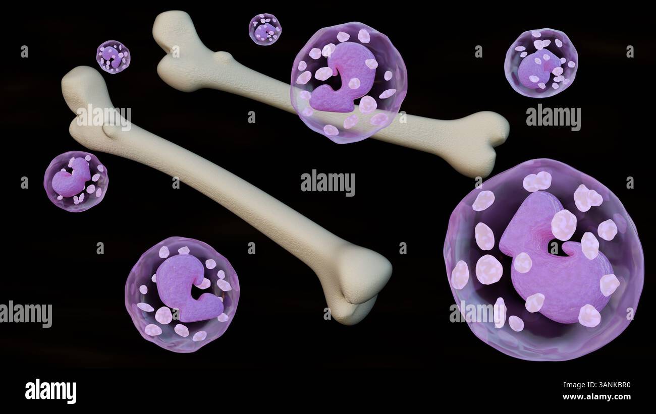 Rendu 3d de globules blancs dispersés ou de leucocytes à proximité immédiate d'un os long, probablement un fémur en raison de sa forme. Banque D'Images Rendu 3d de globules blancs dispersés ou de leucocytes à proximité immédiate d'un os long, probablement un fémur en raison de sa forme. Banque D'Images