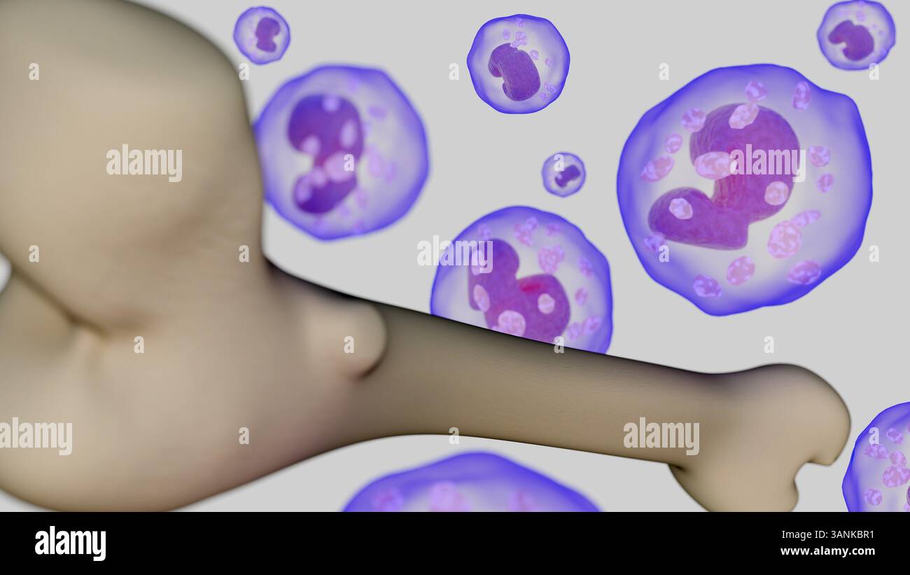 Rendu 3d de globules blancs dispersés ou de leucocytes à proximité immédiate d'un os long, probablement un fémur en raison de sa forme. Banque D'Images Rendu 3d de globules blancs dispersés ou de leucocytes à proximité immédiate d'un os long, probablement un fémur en raison de sa forme. Banque D'Images