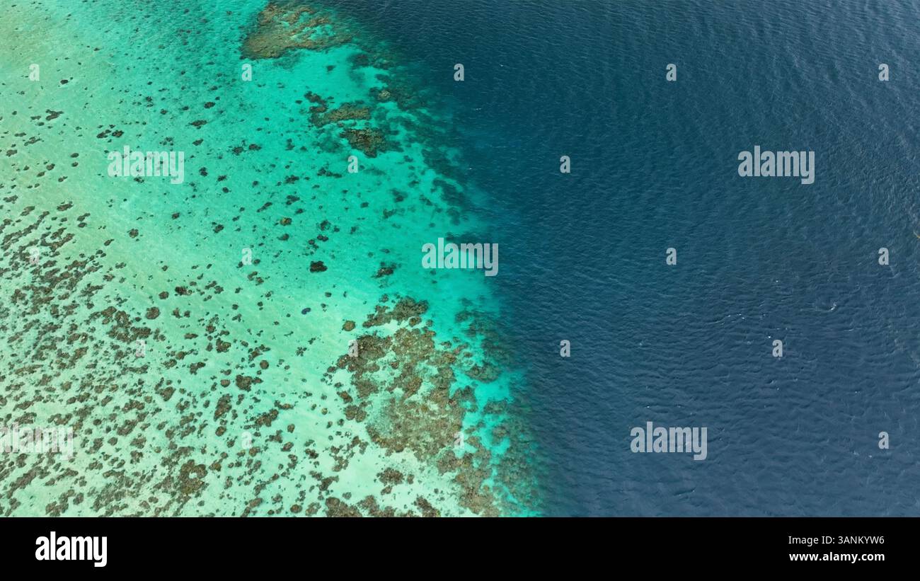 Vue aérienne de la formation de récif tranquille dans l'océan cristallin, Fidji orientale. Banque D'Images