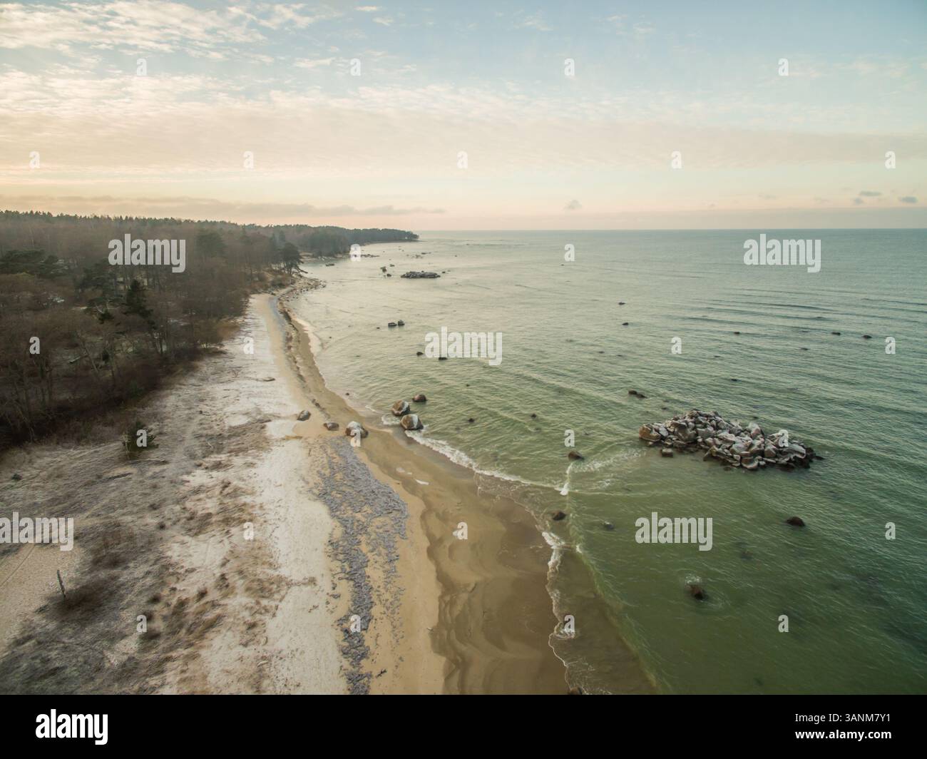 Vue aérienne de la forêt sur la côte de l'Estonie. Banque D'Images