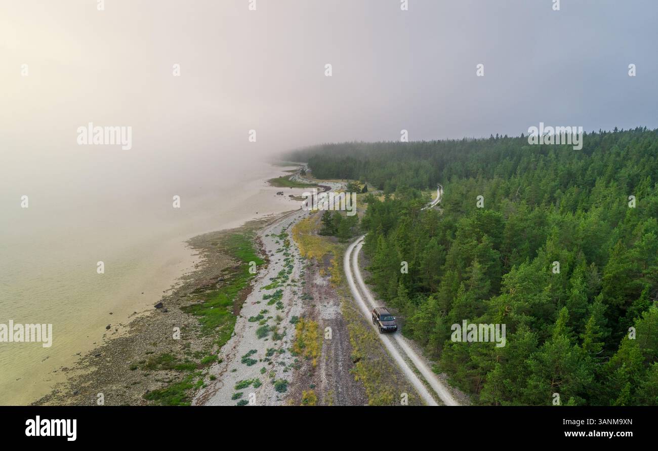 Vue aérienne route allant dans la lisière de la forêt à Forby sur l'île de Vormsi, Estonie. Banque D'Images