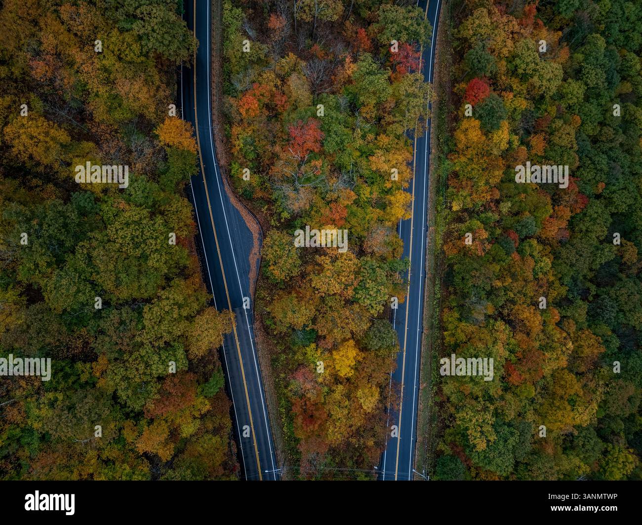 Vue aérienne du feuillage d'automne vibrant et route sinueuse à travers des arbres luxuriants, North Adams, États-Unis. Banque D'Images